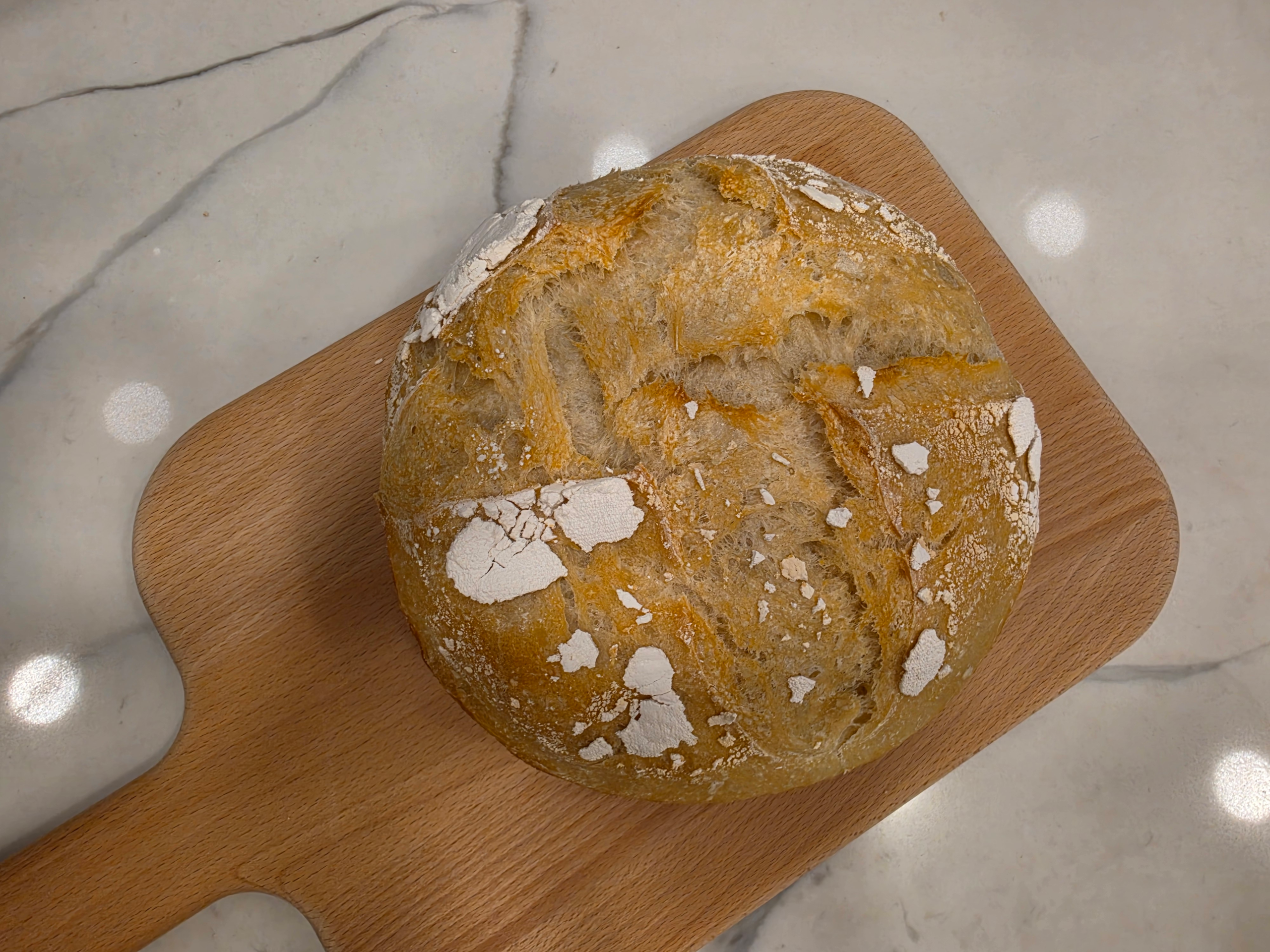 Sourdough Bread